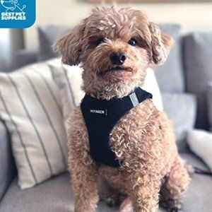 VOYAGER Step-in Air All-Weather Mesh Dog Harness Vest, Medium